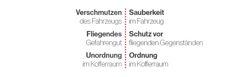 Protex, Kfz Kofferraum Organizer, Faltbare Kühltasche, Sicherer Transport, Ordnung im Kofferraum